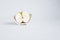 Concept. Sliced â€‹â€‹half of an apple in a broken half of a ceramic small plate on white background. Place for text