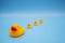 The concept of a smooth follow-up, rubber ducks