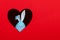 The concept of spring, happy Easter, eared blue rabbit handmade, peek out of a hole in the shape of a heart on a red background.