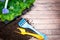 Concept Spring planting , harmony and beauty. Blue Flowers and yellow and garden tools