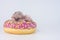 The concept of tasty treats. Newborn baby cub in a donut