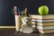 Concept of Teacher\'s Day. Objects on a chalkboard background. Books, green apple, bear with a sign: Happy Teacher\'s Day, pencils