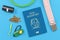 Concept for travelling with dogs showing made up blue dog passport next to pet supplies like collar, tick tweezers, clicker