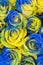 Concept ukrainian blue and yellow roses top view. Fancy yellow and blue roses. Fantastic flowers. Blue and yellow