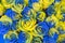 Concept ukrainian blue and yellow roses top view. Fancy yellow and blue roses. Fantastic flowers. Blue and yellow flowers of roses