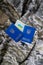 Concept. A Ukrainian soldier in camouflage is holding a Ukrainian passport with the symbols of the country. Homeland defense. The