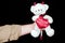 Concept valentines teddy in white