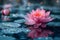 Concept Water Life, Lotus Flowers, Serenity in Nature, Serenity Bloom Waters Graceful Lotus