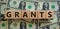 Concept word `grants` on wooden cubes on a beautiful background from dollar bills. Business concept