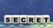 Concept word SECRET on wooden cubes on a gray background