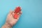 The concept of the World Blood Donor and Hemophilia Day. Two red paper drops of blood in the hand on a blue background