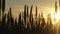 The concept of the world food crisis. Silhouettes of ears of wheat at sunset. Grain embargo and port blocking. War