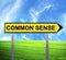 Conceptual arrow sign against beautiful landscape with text - COMMON SENSE