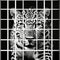 Conceptual Art: Leopard Print In Black And White Grid