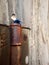 Conceptual Close Up Photo, Gadget Addicted young Man, Holding Smartphone, sitting at corrosive door hinge, under barbed wire