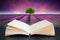 Conceptual composite open book image of Stunning lavender field landscape Summer sunset with single tree on horizon