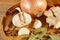 Conceptual composition of different spices on a wooden tray on rustic table, close-up, selective focus