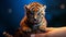 Conceptual Digitalism: Captivating Tiger Cub In Dark Sky-blue And Orange