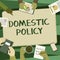 Conceptual display Domestic Policy. Business idea Actions taken by a national government to deal with issues Colleagues