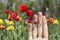 Conceptual family finger art. Father, son and daughter are giving flowers their mother. Stock Image