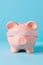 Conceptual financial planning or investment uncertainty still life with piggy bank.