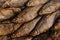 Conceptual flat background of dried fish. vobla