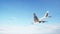 Conceptual flying white passenger jetliner or commercial plane after take off rising over a beautiful sky background. 3D
