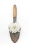Conceptual gardening still life with spade and white flower