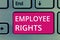 Conceptual hand writing showing Employee Rights. Business photo showcasing All employees have basic rights in their own workplace