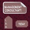 Conceptual hand writing showing Management Consultant. Business photo text gives professional advice about how to run a