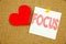 Conceptual hand writing text caption inspiration showing Focus concept for Attention Success Concentrate and Love written on stick