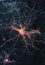 Conceptual illustration of neurone cell on dark background