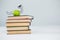 Conceptual image of books, apple and snake with graduate cap