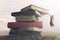 Conceptual image a brave woman climbing a pile of books to reach the top