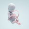 Conceptual image of a fetus. Fertility and science concept