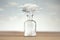 Conceptual image of freedom with a cloud coming out of a vase that contained it