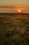 Conceptual image of sunset in grass field.