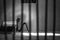 Conceptual jail photo with iron nail sitting behind bars artistic conversion