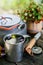 Conceptual Photo of an Autumnal Peaceful Recreation.Kettle with a mug in a tourist camp.  Preparation of tea in a holiday camp.