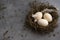 Conceptual still-life with hen eggs in nest on dark background