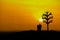 Conceptual valentine holiday illustration. elder couple silhouette standing at the sand beach with dried tree