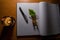 Conceptual video of an open notebook with pen, couple of semi dried leaves and burning candle against bokeh lights. Desktop table