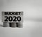 conceptual words of budget 2020 on wooden blocks with stack of coins in vintage background