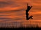 Conceptual young woman silhouette jumping happy on grass at sunset