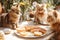 Concerned Cats Watching Their Owner\\\'s Unhealthy Eating Habits on a Colorful Dining Table