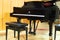 Concert grand piano and regulated bench in hall