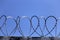 Concertina fence installed on a wall and a blue sky background