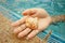 Conch in hand of woman at swimming pool.