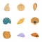 Conch icons set, cartoon style