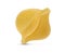 Conchiglie pasta on white background